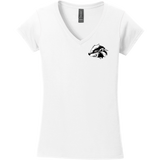 Allegheny Badgers Softstyle Ladies Fit V-Neck T-Shirt