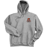 Princeton Tiger Lilies Ultimate Cotton - Pullover Hooded Sweatshirt