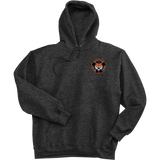 Princeton Jr. Tigers Ultimate Cotton - Pullover Hooded Sweatshirt