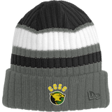 Chester County New Era Ribbed Tailgate Beanie
