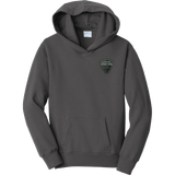 Lansing Spartans Youth Fan Favorite Fleece Pullover Hooded Sweatshirt