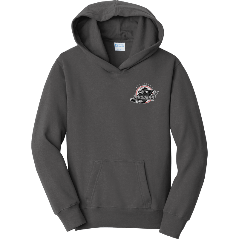 Allegheny Badgers Youth Fan Favorite Fleece Pullover Hooded Sweatshirt