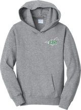 NJ Colts Youth Fan Favorite Fleece Pullover Hooded Sweatshirt