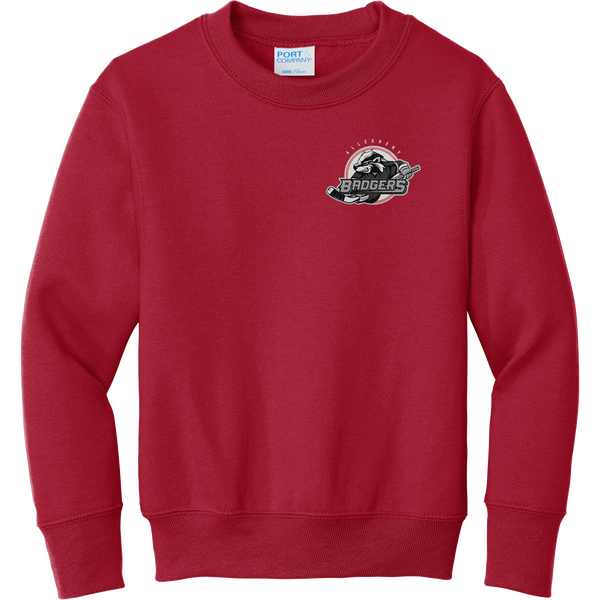 Allegheny Badgers Youth Core Fleece Crewneck Sweatshirt